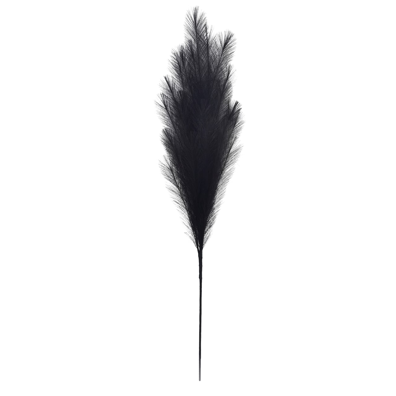 42" Black Pampas Grass Stem by Ashland®